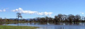 Photo of a laguna in Sonoma County