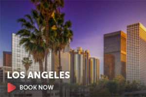 Image of las angeles skyline with palm trees and book now button